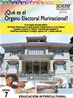 que_es_el_organo_electoral_plurinacional