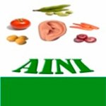 logo_aini