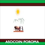 logo_asocoim
