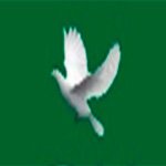 logo_gv