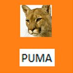 logo_puma