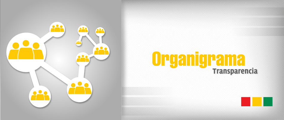organigrama