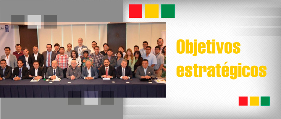 Objetivos-Estrategicos