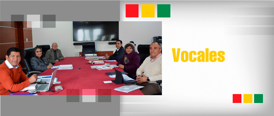 Vocales-TSE-2024
